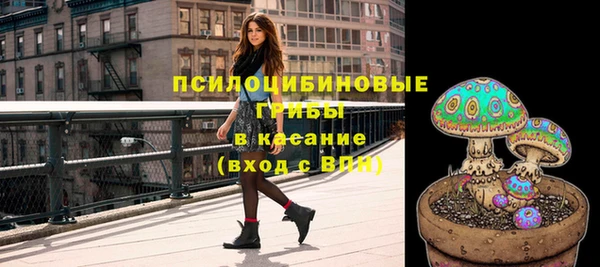 МДПВ Верхний Тагил